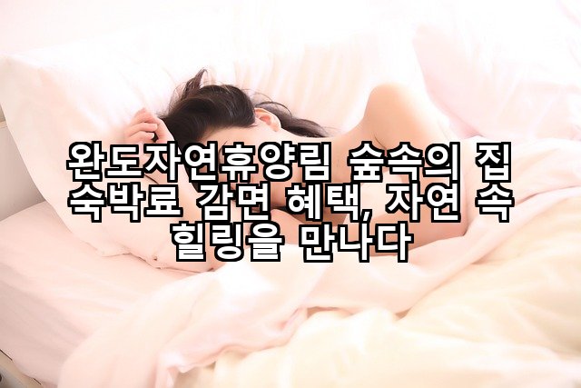 완도자연휴양림 숲속의 집 숙박료 감면 혜택, 자연 속 힐링을 만나다
